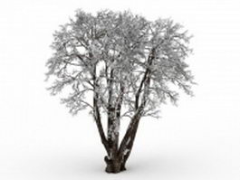 Old tree in snow 3d model preview