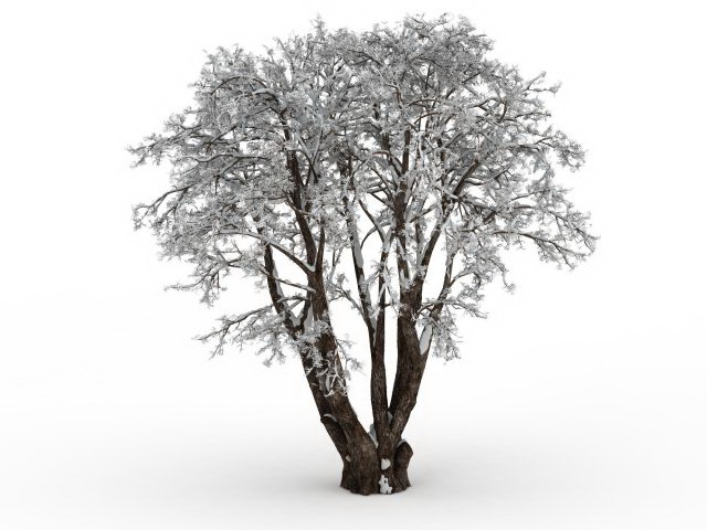 Old tree in snow 3d rendering