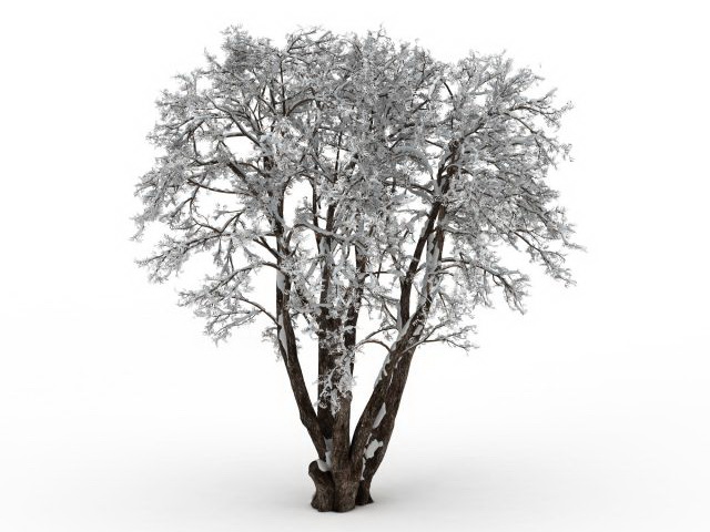Old tree in snow 3d rendering