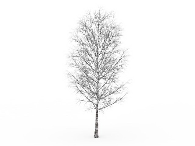 Birch tree in the snow 3d rendering