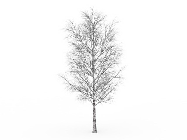 Birch tree in the snow 3d rendering