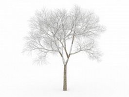 Bare tree in snow 3d model preview