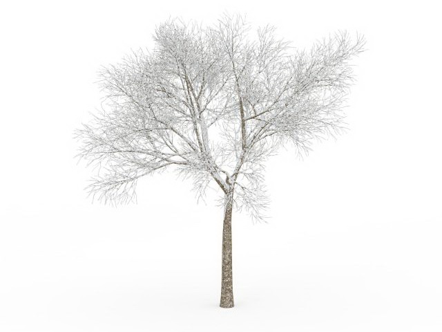Bare tree in snow 3d rendering