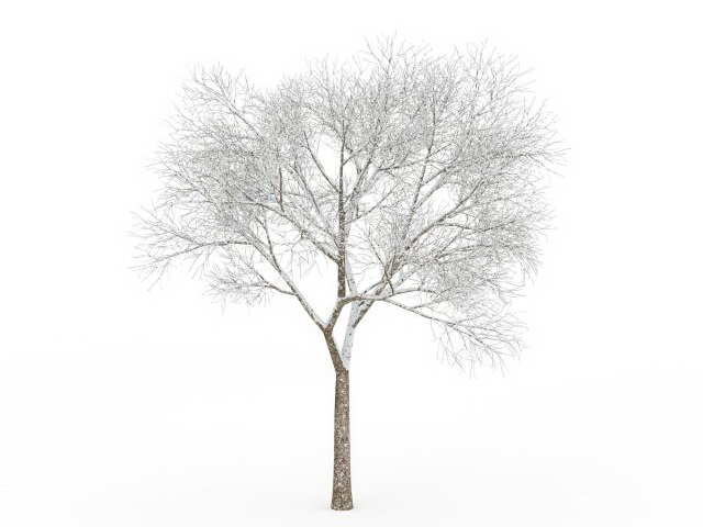 Bare tree in snow 3d rendering