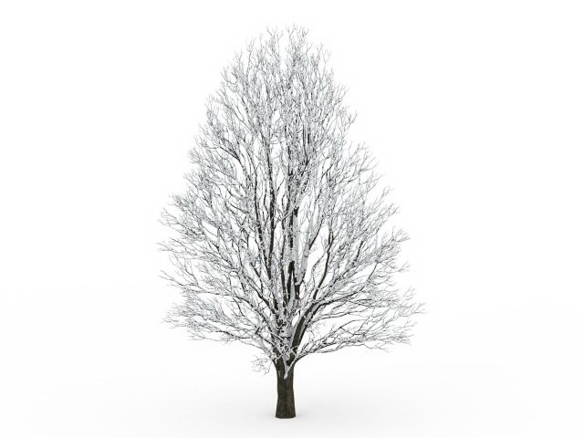 Tree covered with snow 3d rendering