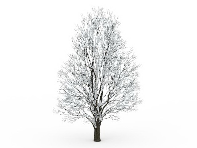 Tree covered with snow 3d rendering