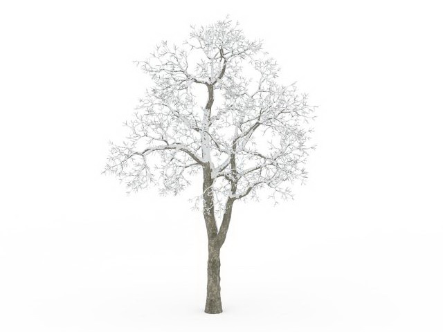 Snow deciduous tree 3d rendering