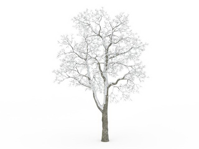Snow deciduous tree 3d rendering