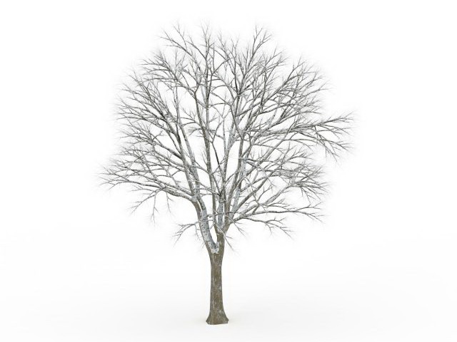 Tree covered in snow 3d rendering