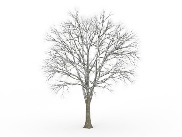 Tree covered in snow 3d rendering