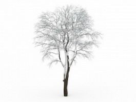 Tall tree covered by snow 3d model preview