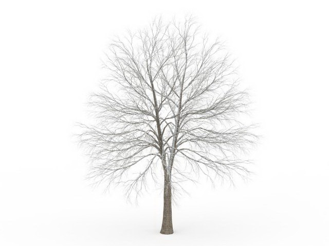 Frosted tree 3d rendering