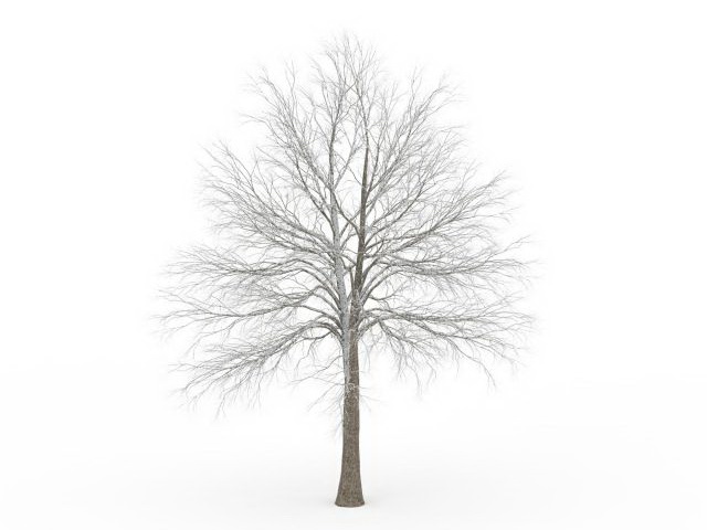 Frosted tree 3d rendering