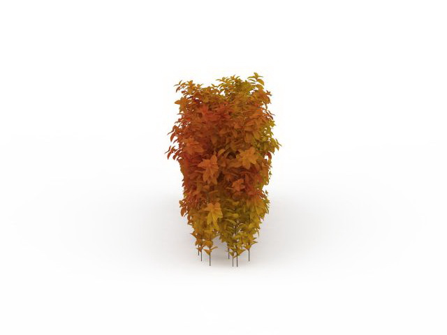 Autumn shrubs hedge 3d rendering