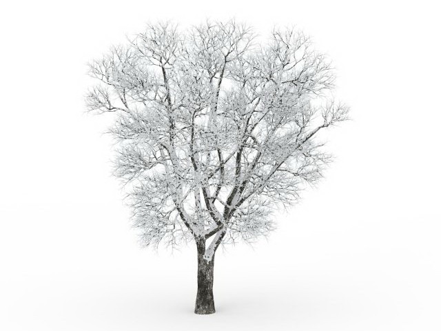 Frost covered tree 3d rendering