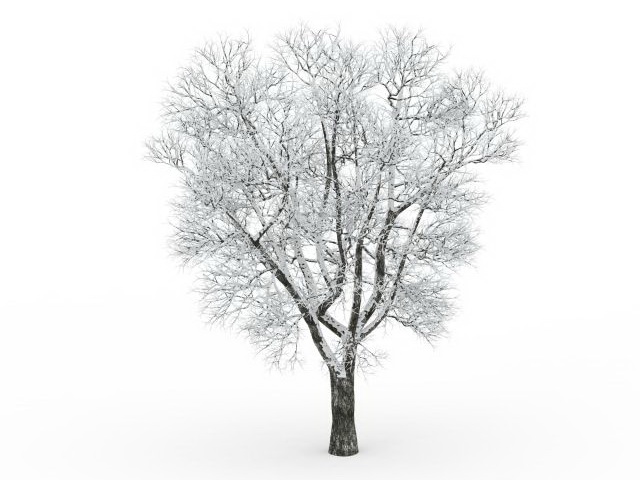 Frost covered tree 3d rendering
