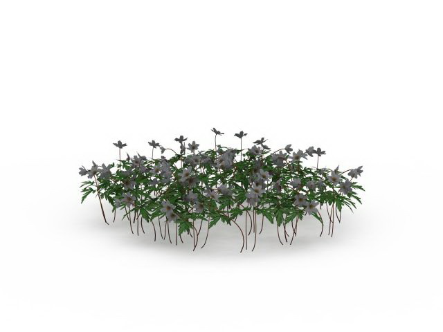 Landscape flowers plants 3d rendering