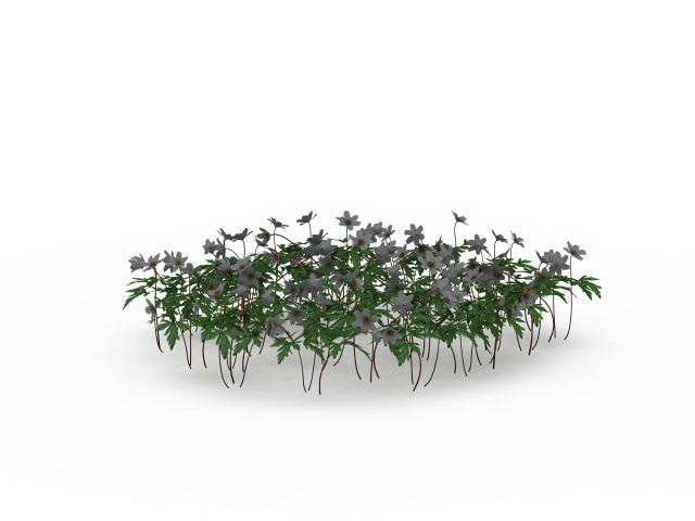 Landscape flowers plants 3d rendering