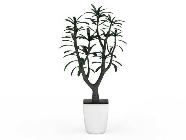 Small potted tree plant 3d rendering