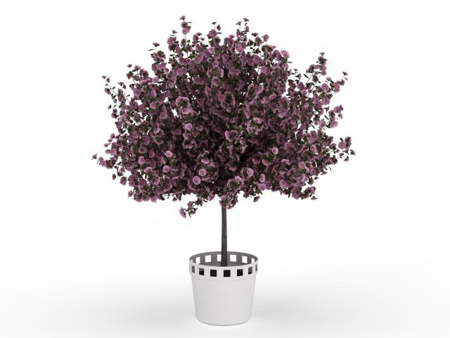Blooming purple plant in pot 3d rendering