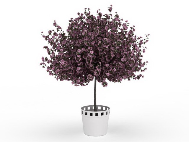 Blooming purple plant in pot 3d rendering