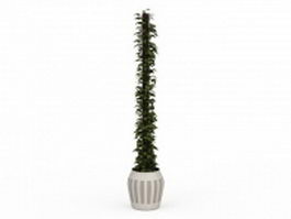 Indoor climbing ivy plants 3d model preview