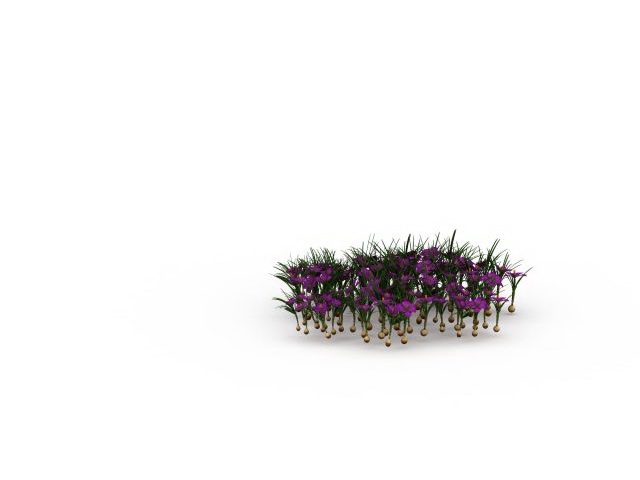 Purple narcissus flowers 3d rendering