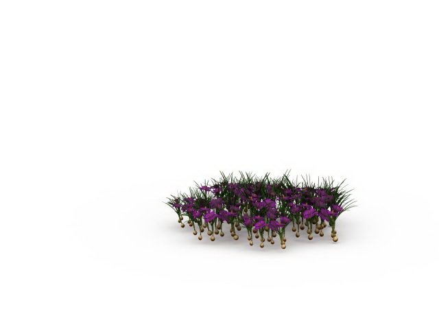 Purple narcissus flowers 3d rendering