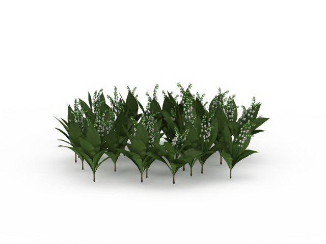 Lily of the valley Convallaria Majalis 3d rendering