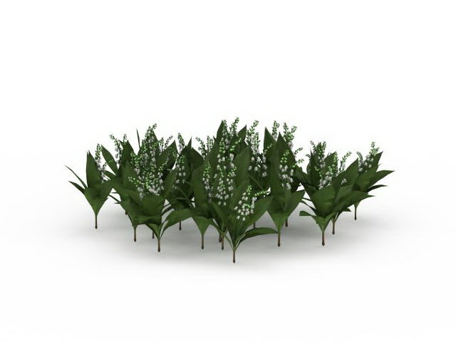 Lily of the valley Convallaria Majalis 3d rendering