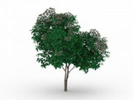 White flowering tree 3d model preview