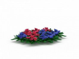 Shortsepal lewisia plant with flowers 3d model preview
