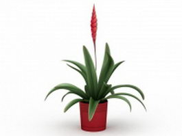 Red potted hyacinth 3d model preview