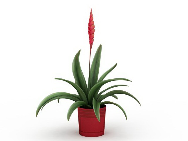 Red potted hyacinth 3d rendering