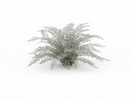 Landscaping ferns 3d model preview
