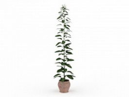 Tall potted plants 3d model preview