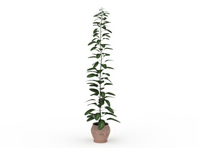 Tall potted plants 3d rendering
