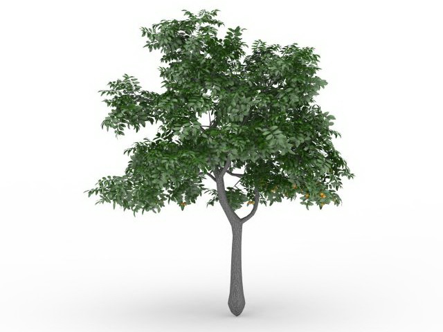 Lemon tree with fruit 3d rendering