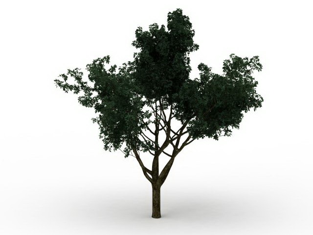 Big green tree 3d rendering