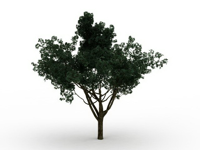 Big green tree 3d rendering