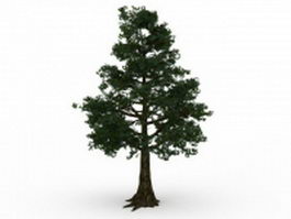 Old yew tree 3d model preview