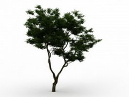 Bifurcated tree 3d model preview