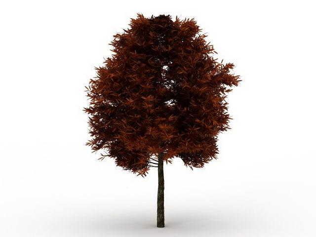 Northern red oak tree 3d rendering
