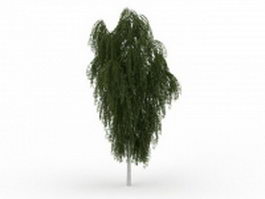 European white willow 3d model preview