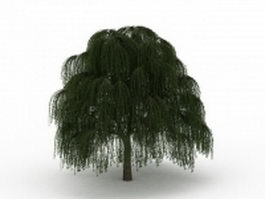 Babylon weeping willow tree 3d model preview