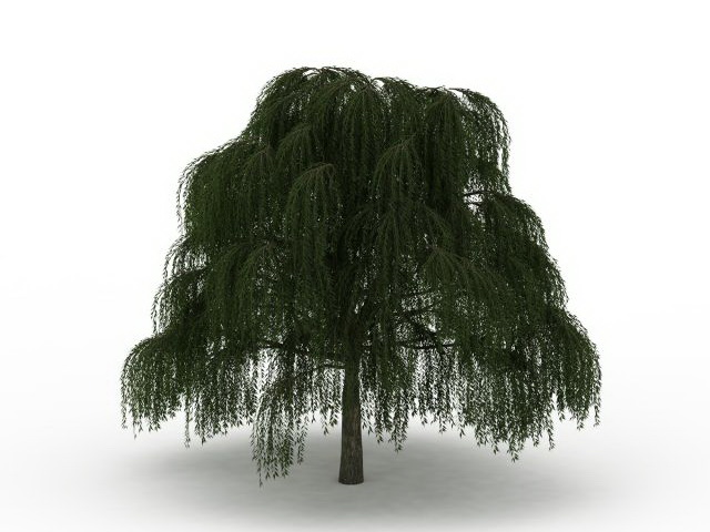 Babylon weeping willow tree 3d rendering