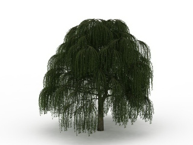 Babylon weeping willow tree 3d rendering
