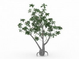 Pink flower tree 3d model preview