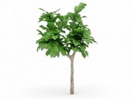 Dwarf ornamental tree 3d model preview