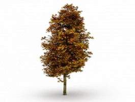 Autumn maple tree 3d model preview